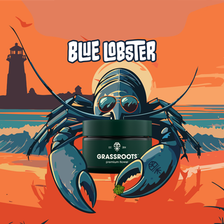 Blue Lobster Grassroots