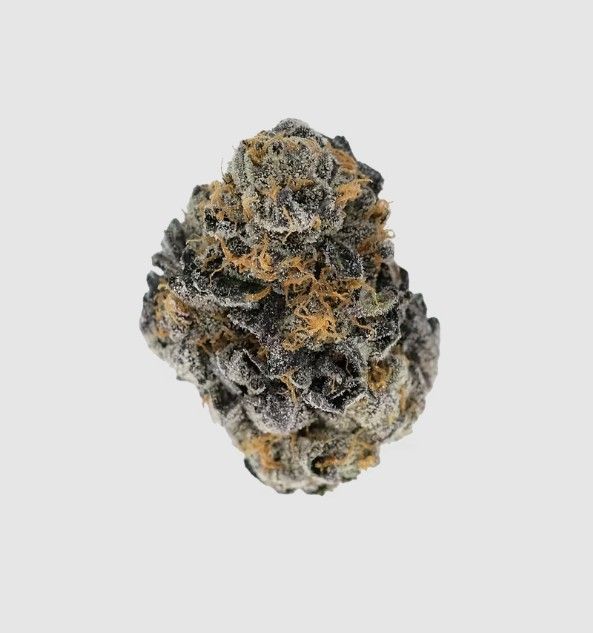 Mule Fuel Pure Dakota