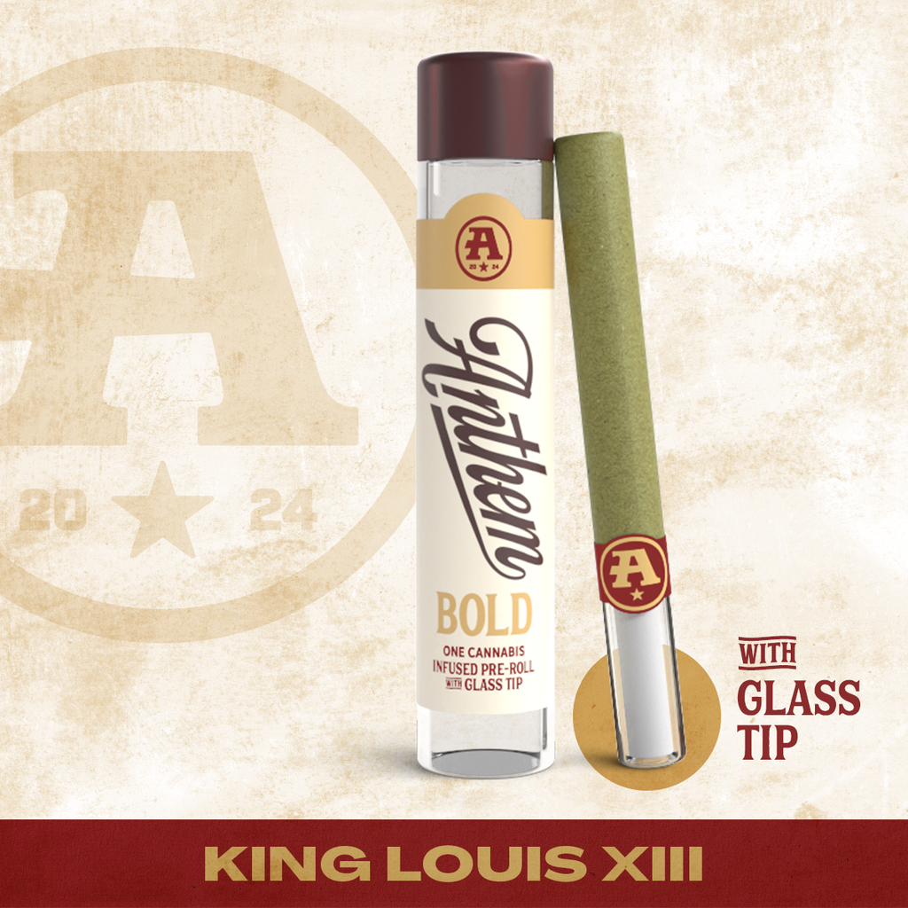 King Louisiii