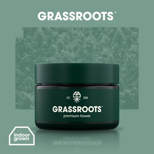 Pillow Mints Grassroots