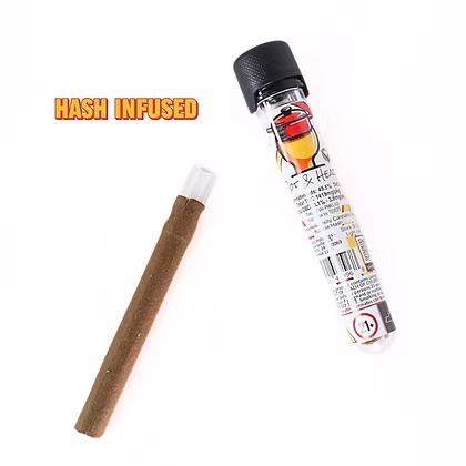 Northern Lights Pot & Head