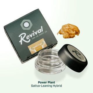 Power Plant Revival