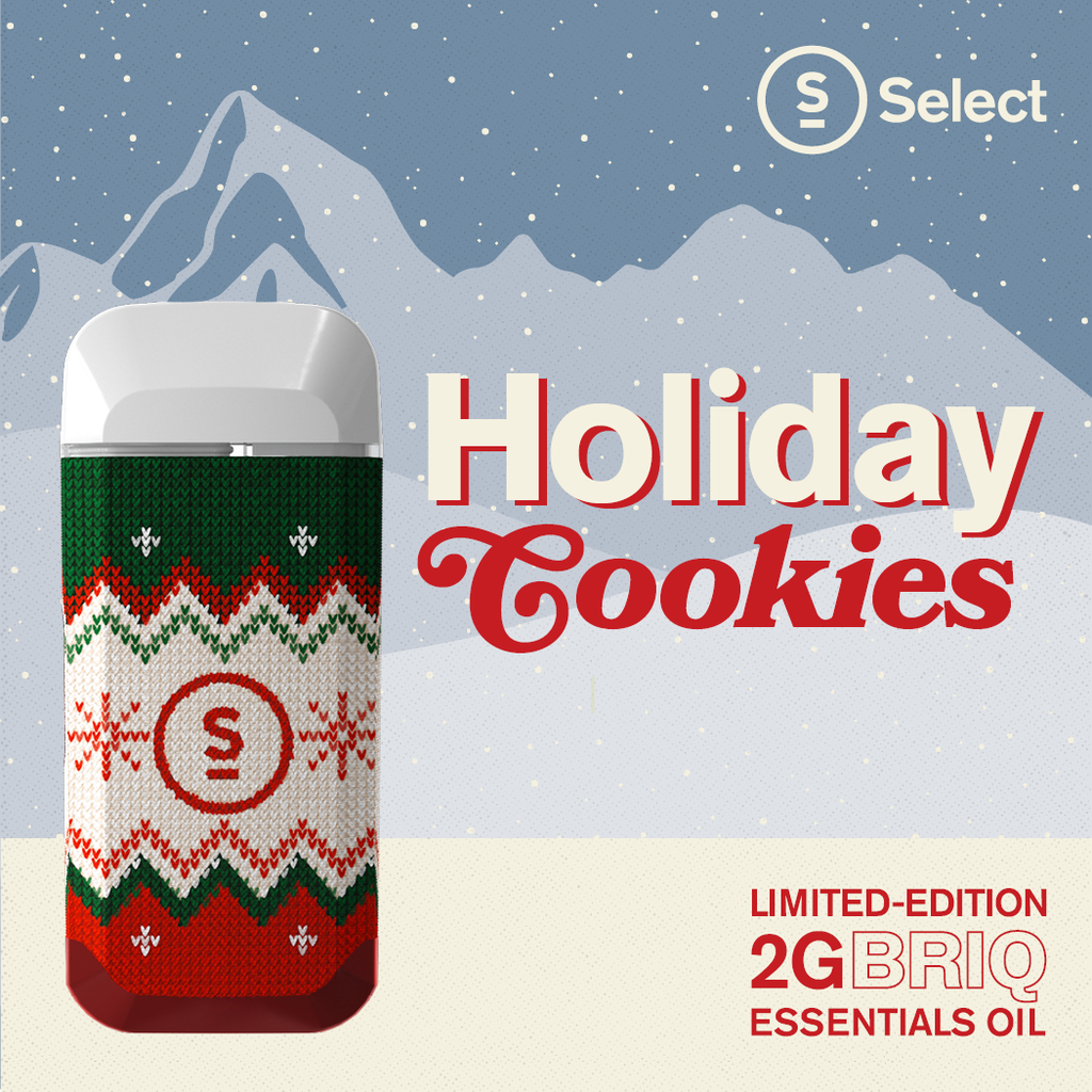 Select Essentials Holiday Cookies BRIQ 2g