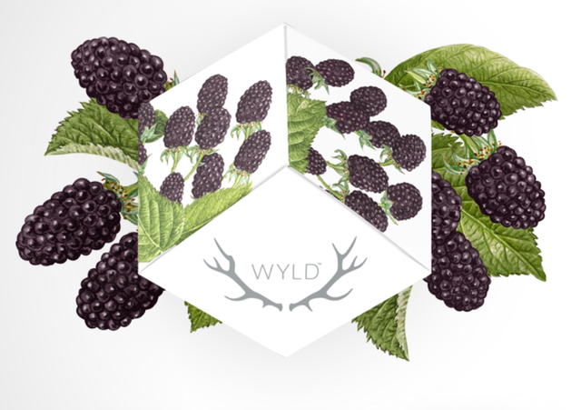 Marionberry Wyld