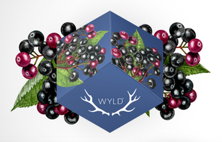 Elderberry Wyld