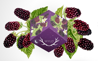 Boysenberry Wyld