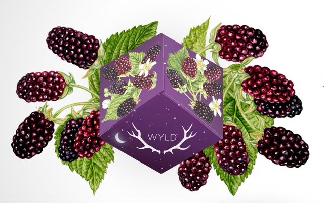 Boysenberry Wyld