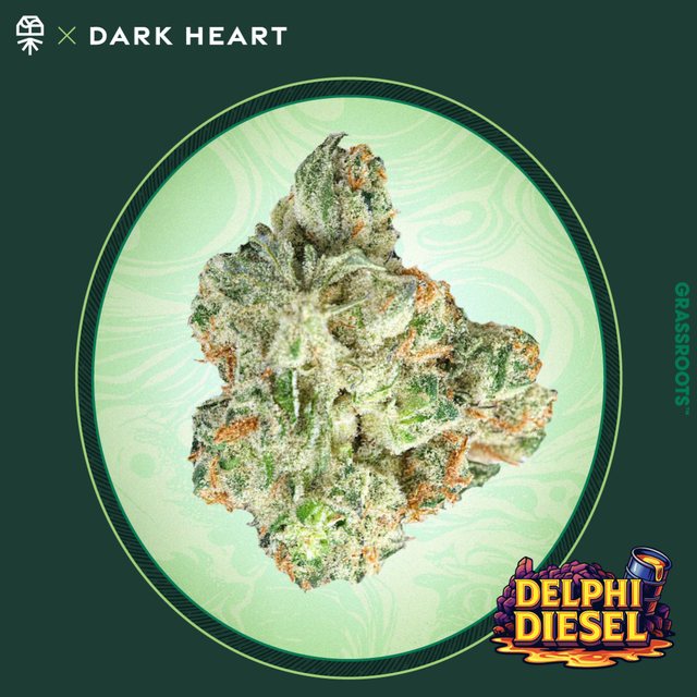 Delphi Diesel Grassroots