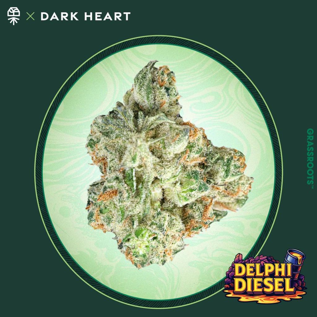 Delphi Diesel