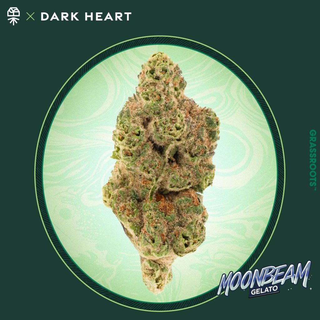 Moonbeam Gelato
