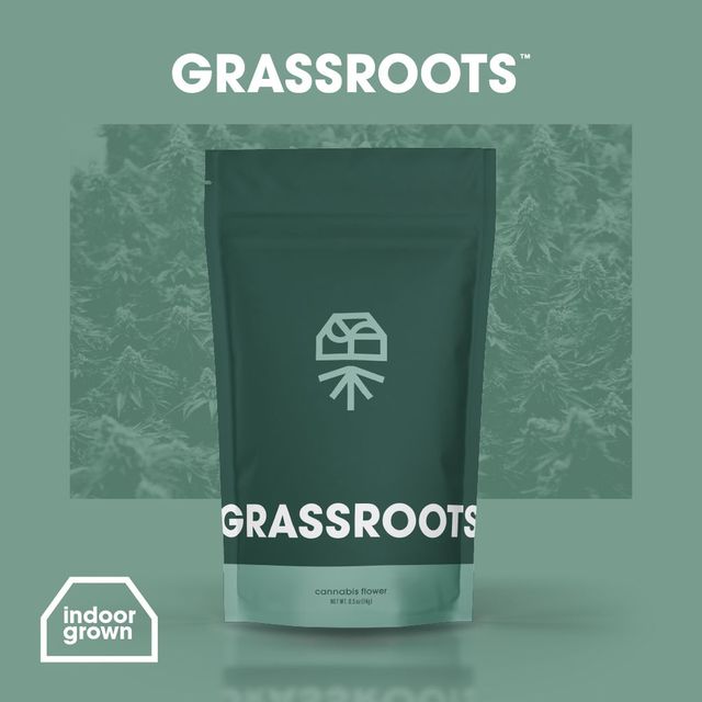 Jayna's Sunshine Grassroots