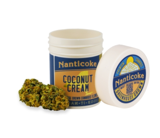 Coconut Cream Nanticoke