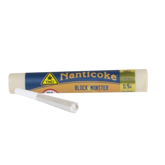 Block Monster Nanticoke