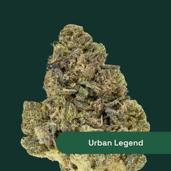 Urban Legend
