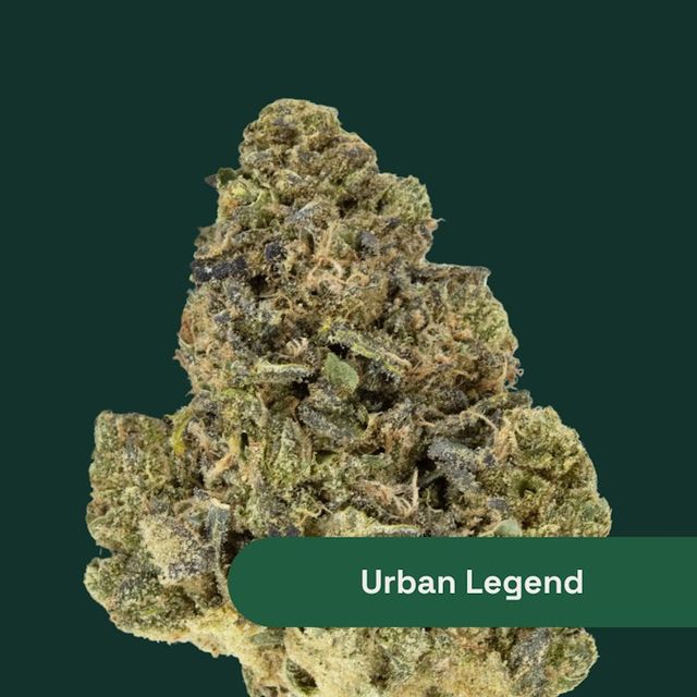 Urban Legend The Botanist