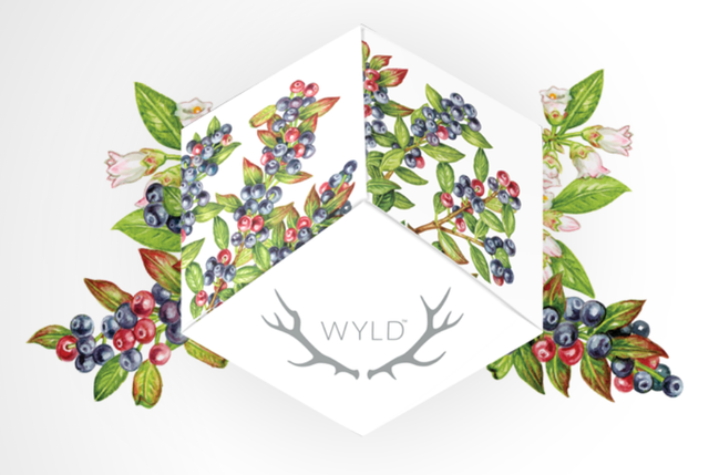 Huckleberry Wyld