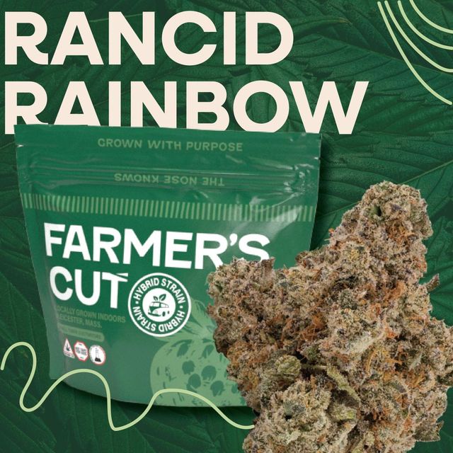 Rancid Rainbow Farmers Cut