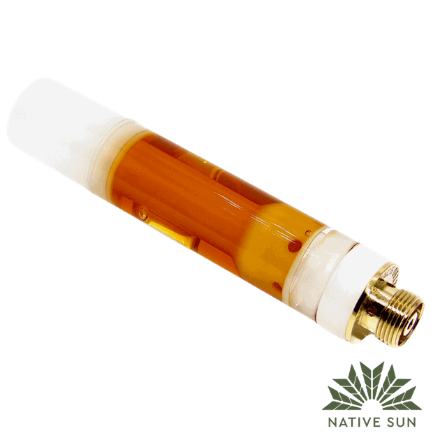 Don Lemon Native Sun