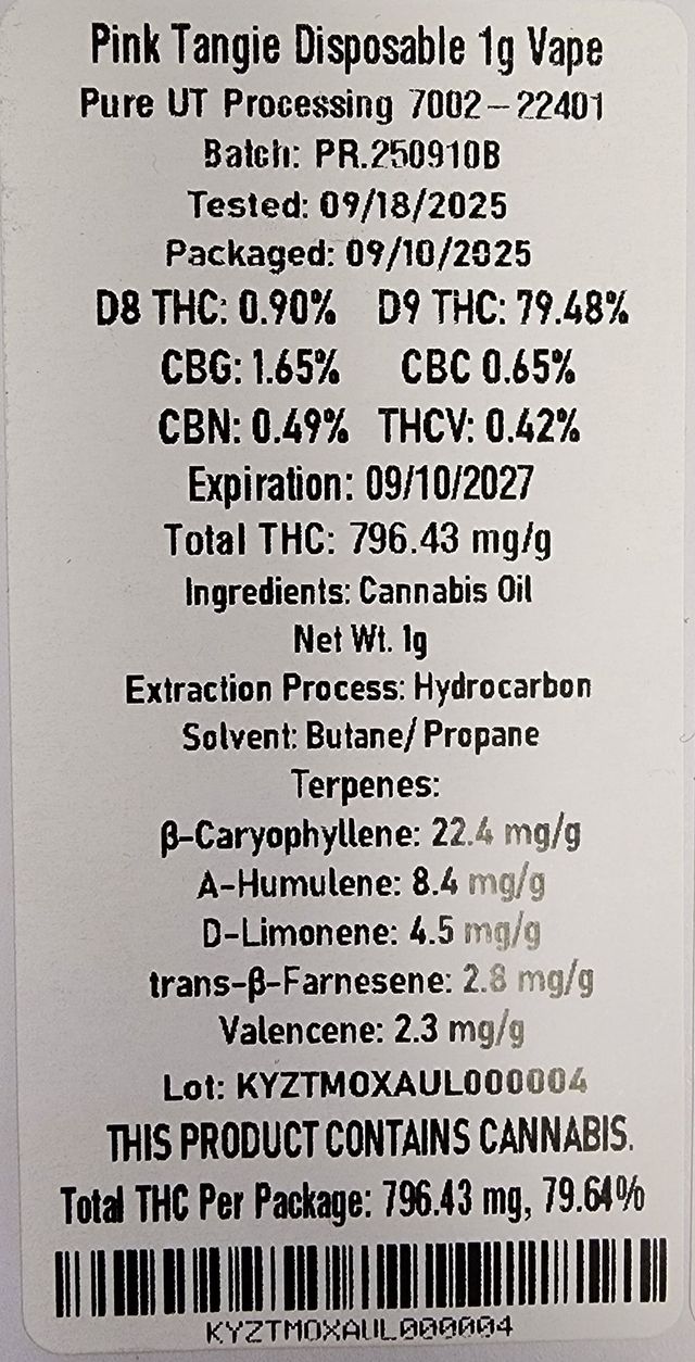 Pink Tangie Moxie Pink Tangie Moxie
