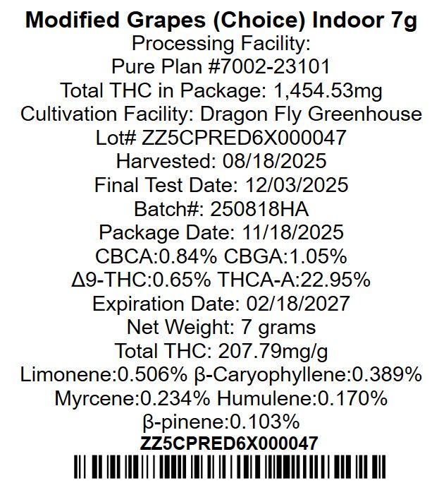 Modified Grapes Pure Plan Modified Grapes Pure Plan
