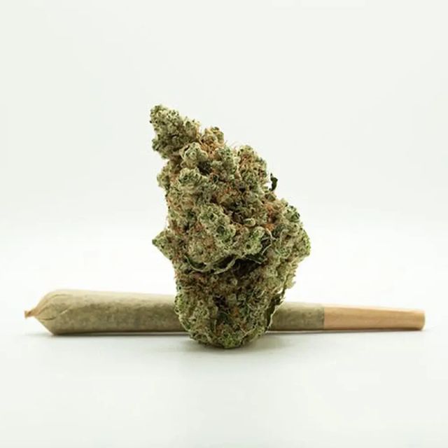 Bananaconda Advanced Grow Labs