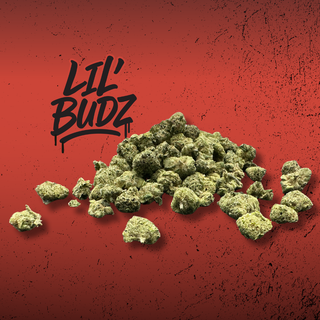 C-Stata Lil' Budz
