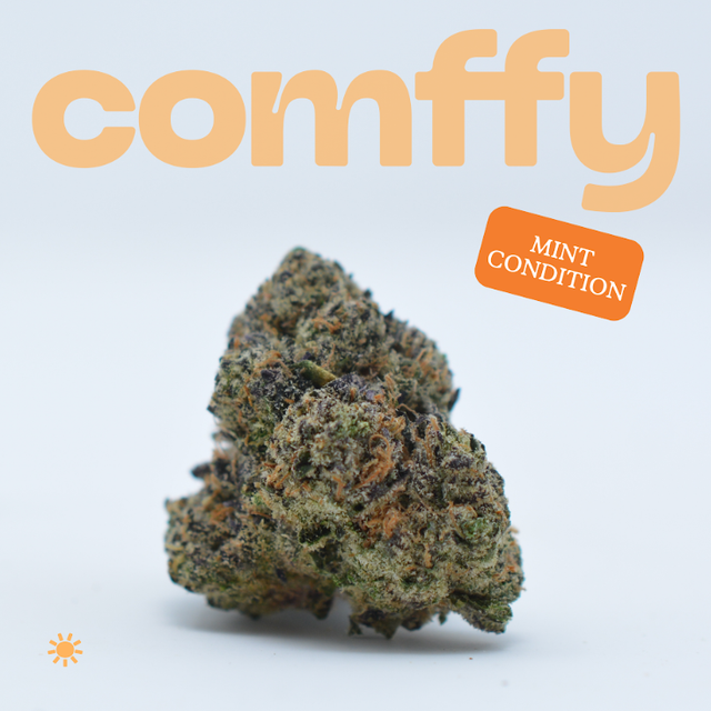 Mint Condition Comffy