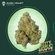 Zesty Garlic Kookyz Grassroots Zesty Garlic Kookyz Grassroots