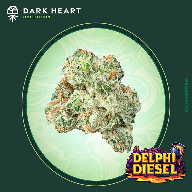 Delphi Diesel Grassroots