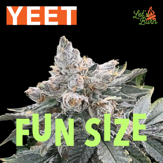 Cannabis Promo, Cannabis Sales, Cannabis Discounts, Cannabis on Sale, 25% Off Let's Burn Products! 3