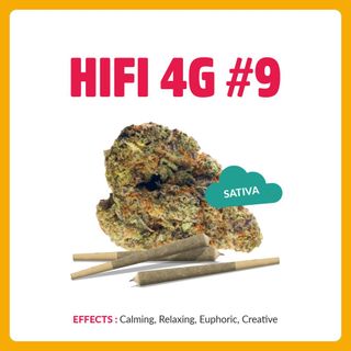 H4G-S-9 Springtime