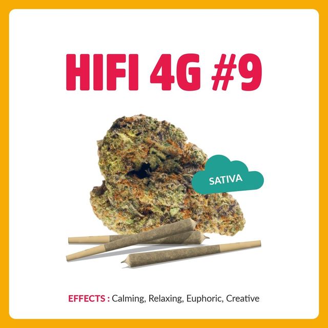 H4G-S-9 Springtime