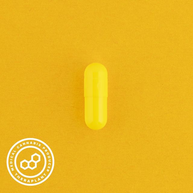 Savoti T10 Theraplant