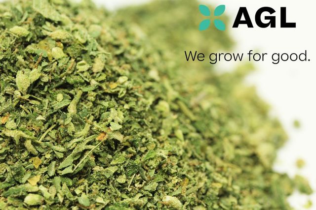 B Scout Advanced Grow Labs