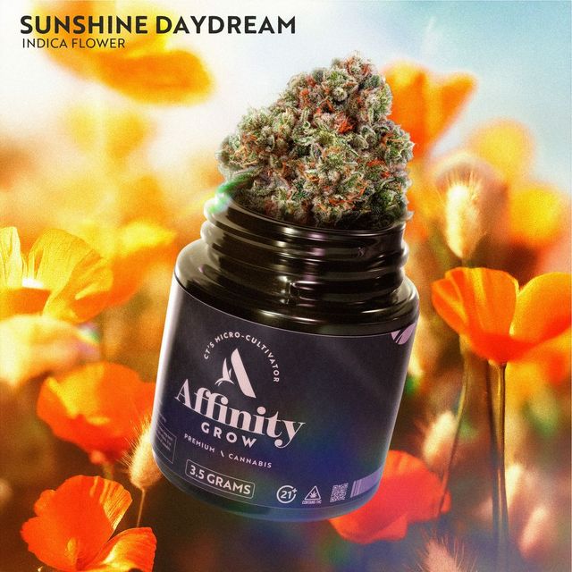 Sunshine Daydream Affinity Grow