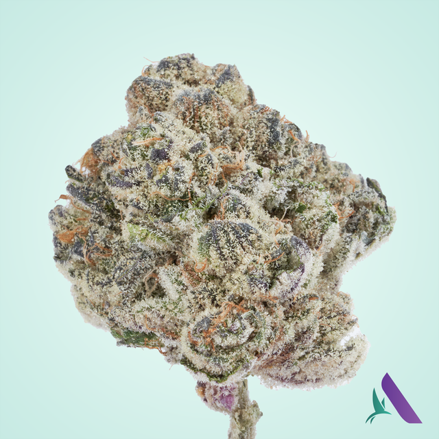 Mac Stomper Affinity Grow