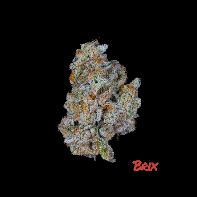 Cap Junk Brix