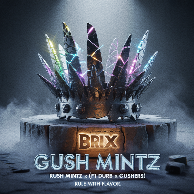 Gush Mintz Brix Gush Mintz Brix