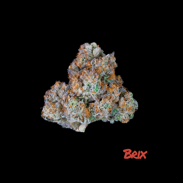 Gush Mintz Brix