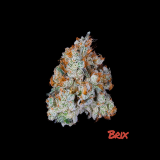 Chem D Brix