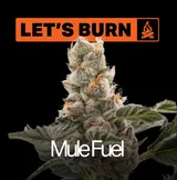 Mule Fuel
