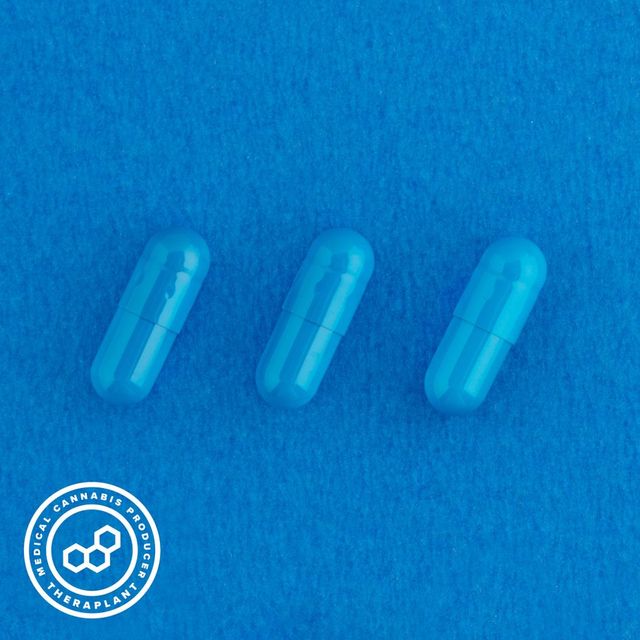 Indoti Theraplant