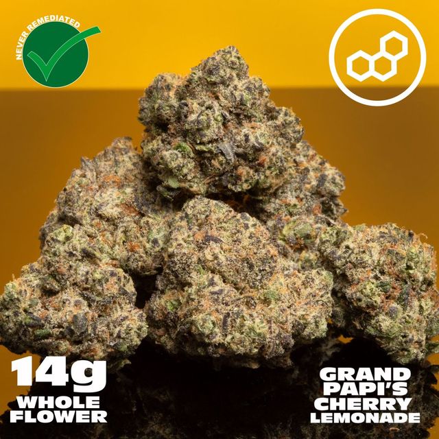 Grand Pappy's Chillemon Theraplant