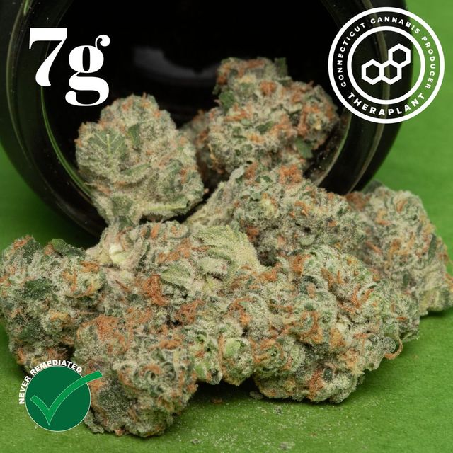 Banapple Medellin Theraplant