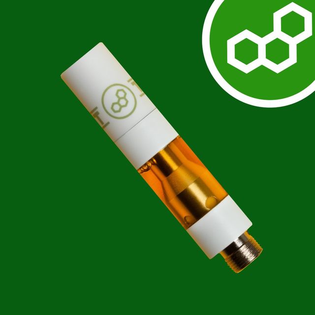 Apple Tart Theraplant
