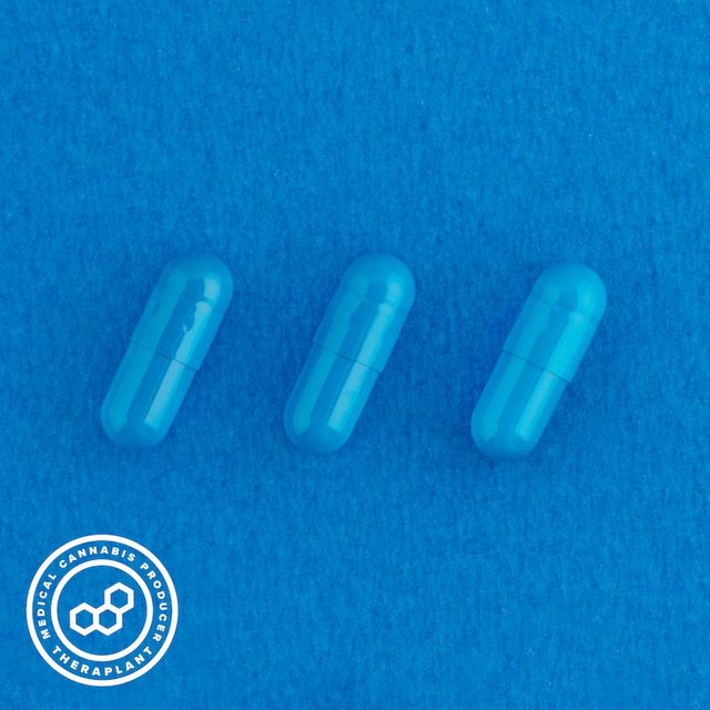 Indoti Theraplant