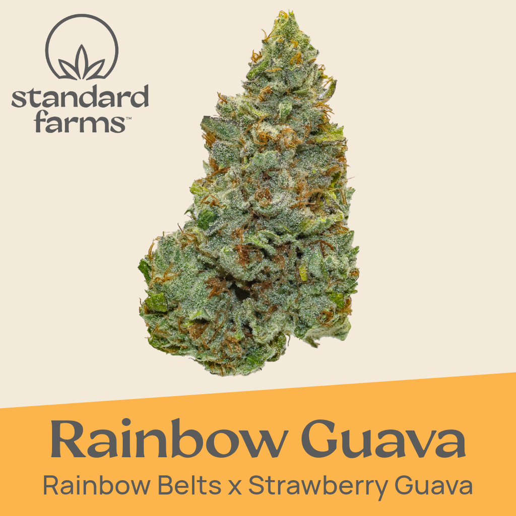 Rainbow Guava