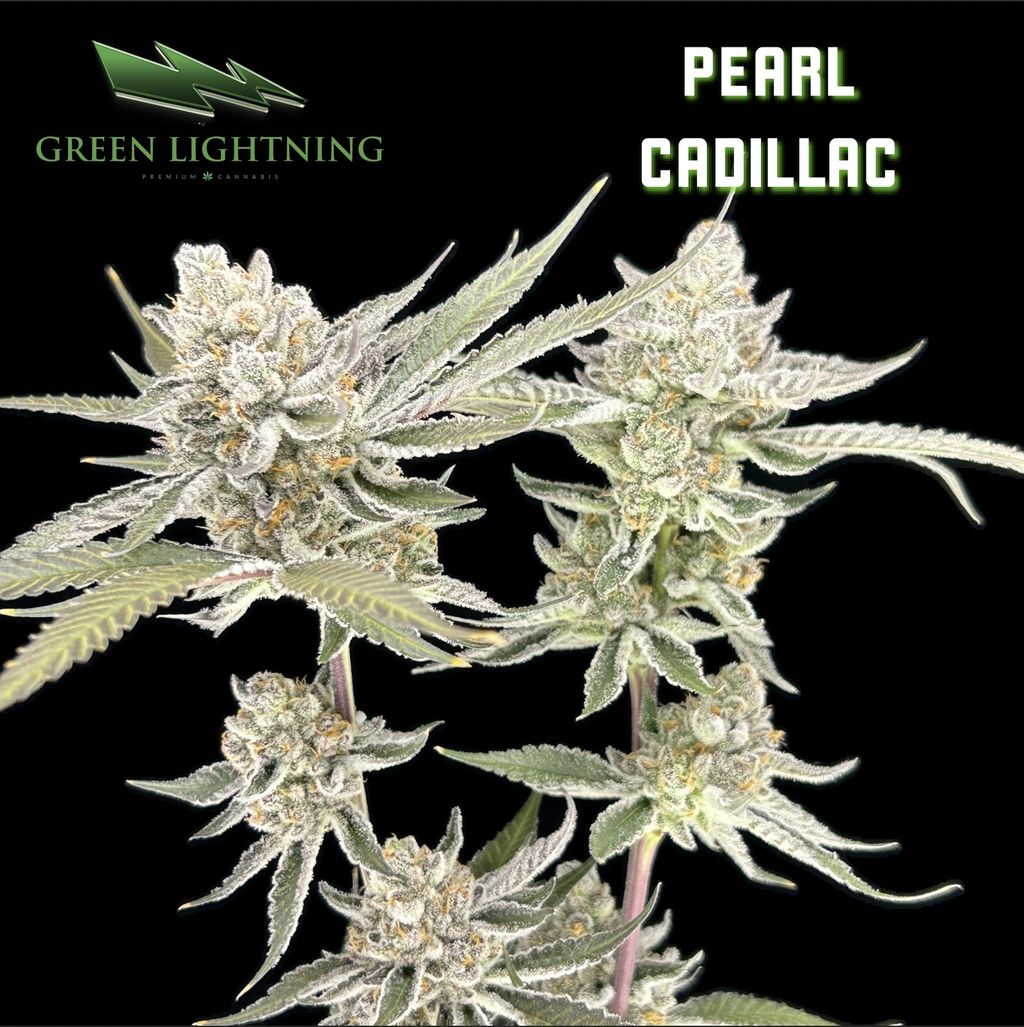 Pearl Cadillac