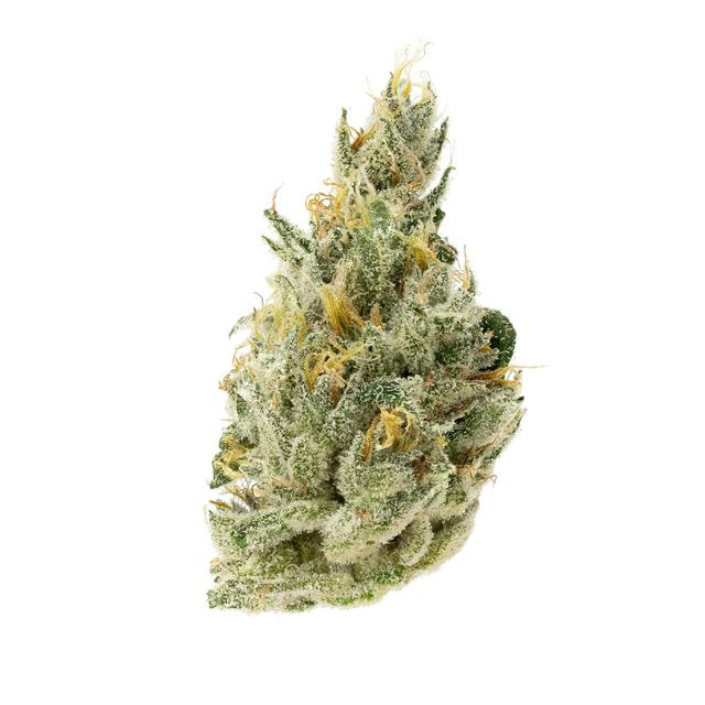 Sour Alien OG Terrapin