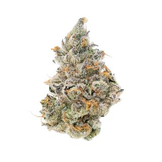 Cannabis Promo, Cannabis Sales, Cannabis Discounts, Cannabis on Sale, 20% Off Terrapin & Double Bear! 3